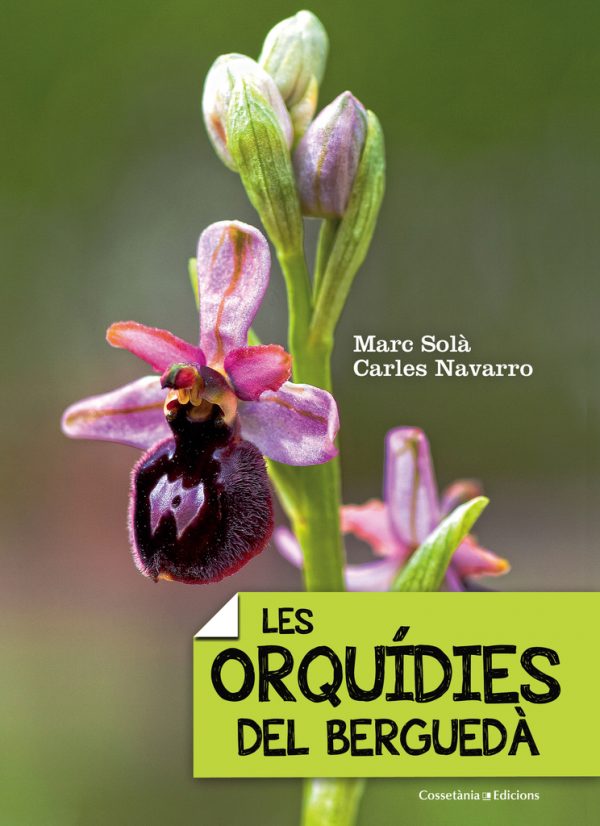 Orquídies del Berguedà